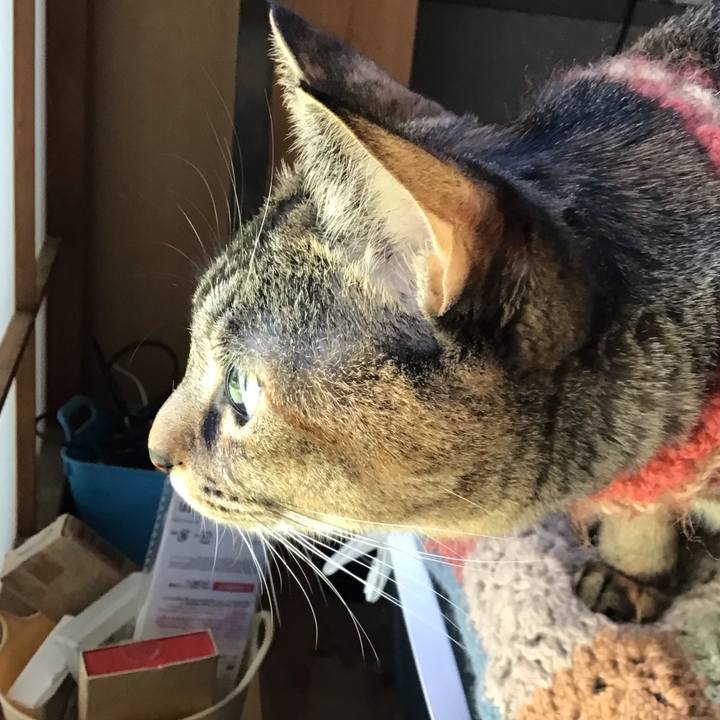 F97d9c3c 72ba 4685 b4d9 9f6c9be4c190 1636089773449