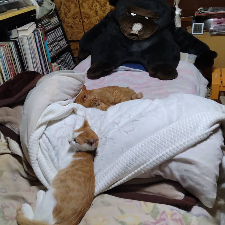 F97dcf98 103c 4a05 a2c3 d11f198b1ab7 1730375846439