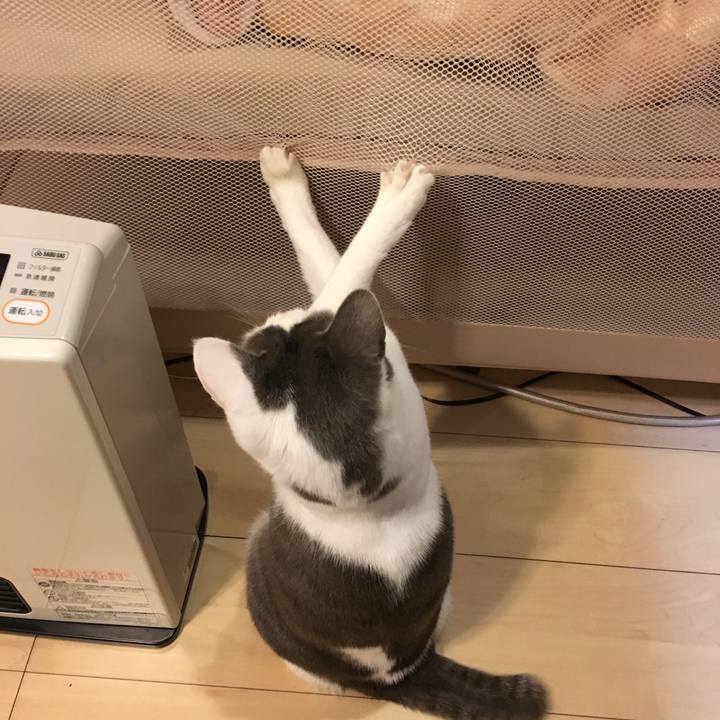 F97dd05e 0de2 4657 bd92 846ac44931ac 1515497936018