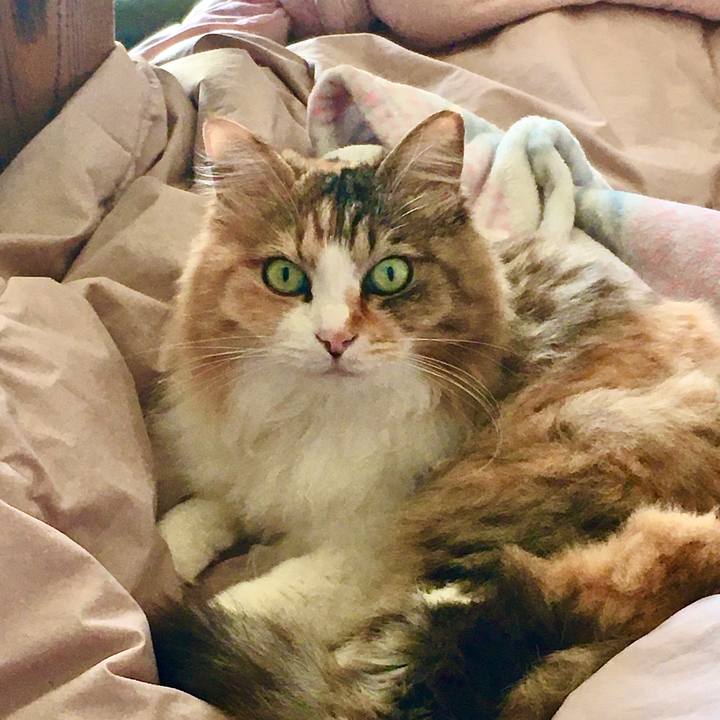 F97ddd21 1602 4c5b bf32 88860b5751eb 1620633934180