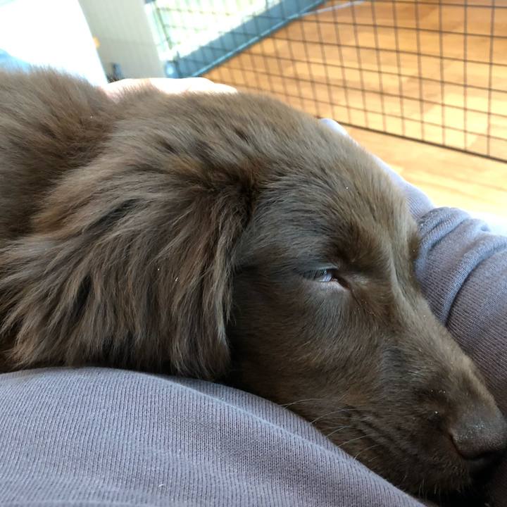 F97e6a99 4f64 463e 94e9 65f1223864ce 1553301842035