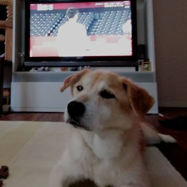 F97e7228 9622 4641 b98a 2fe11c86719a 1627204599882