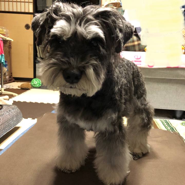 F97e862d 83a9 4b8a 971d 8f271c67f91d 1706794530829