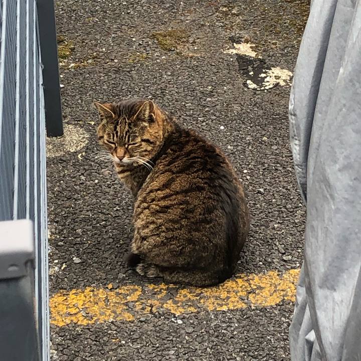 F97e9230 cf56 4eaf 8963 ddebef2933f7 1649602175848