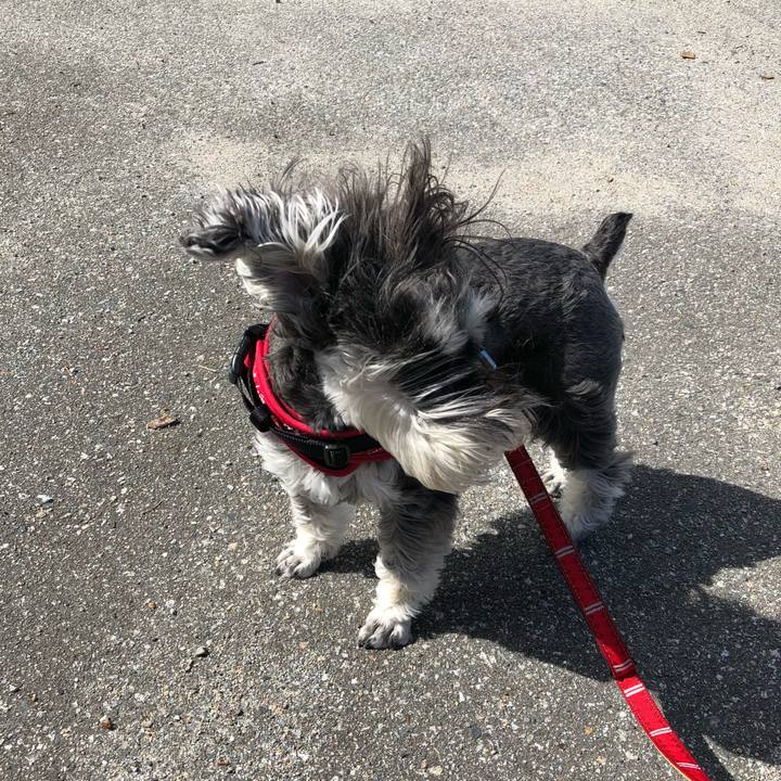 F97eb3b4 88d7 4c02 819c 1917876314a4 1526785791442