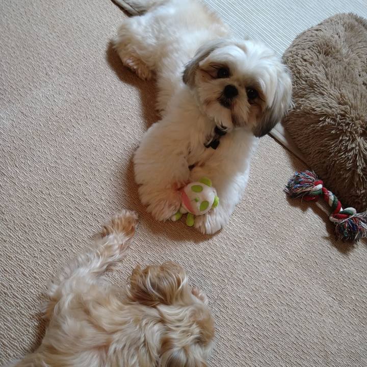 F97eb7f0 5159 422f be5c 672728338f74 1615424289988