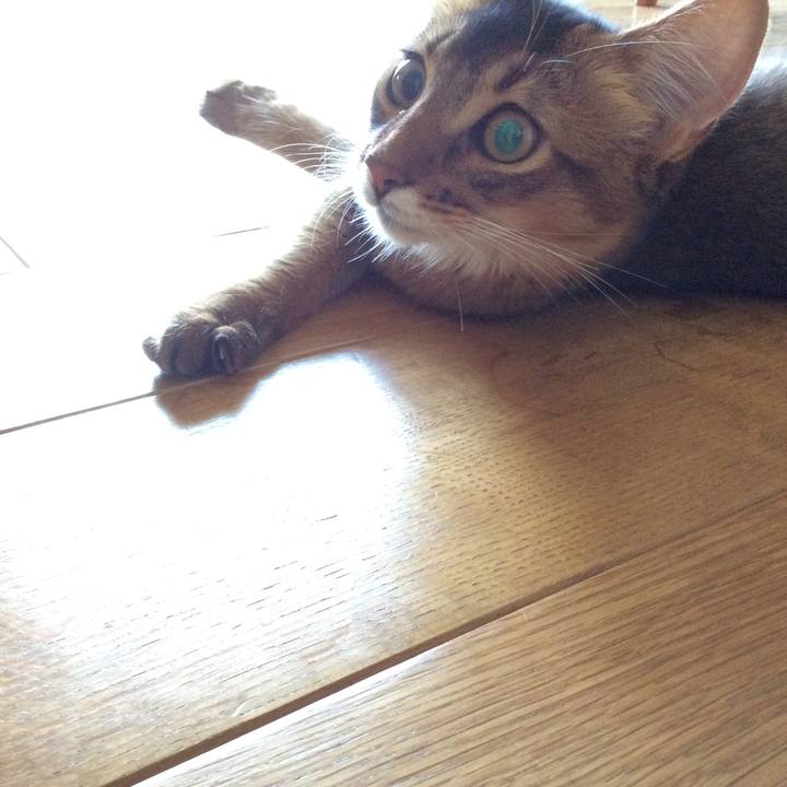 F97ed443 d3d3 4999 b00f 4d306266a60f 1564525731816