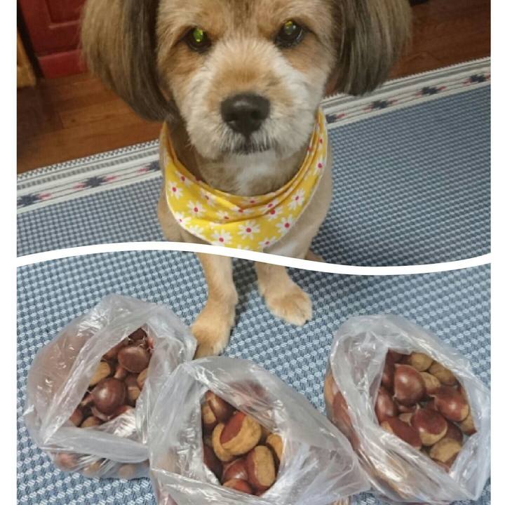 F97f0777 1f27 40ba 917c 059761c39e59 1538274449847