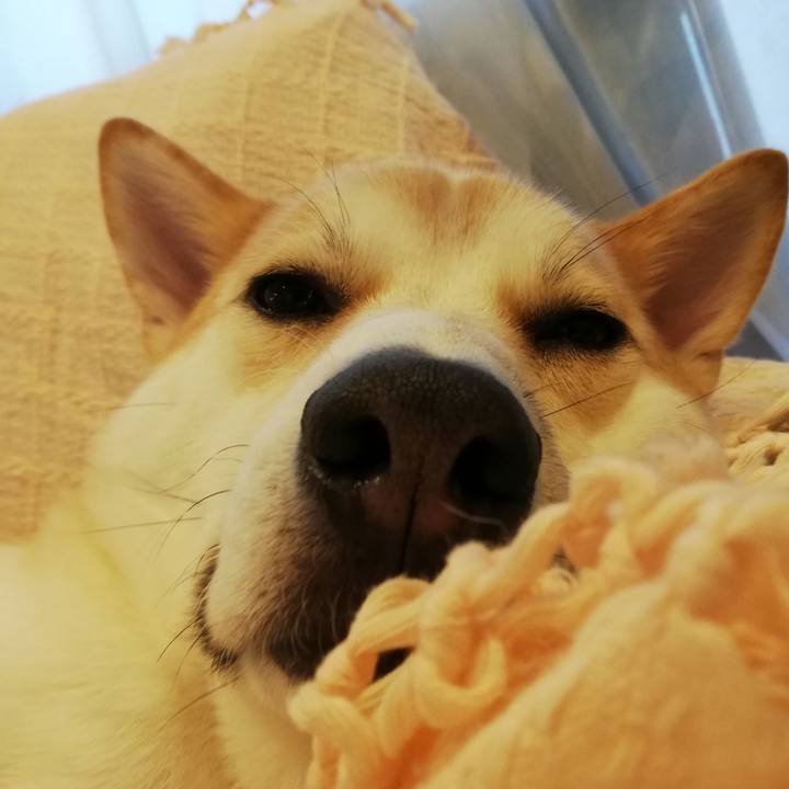 F97f1321 cc7a 4dff bdc9 192760ee200f 1572434820655