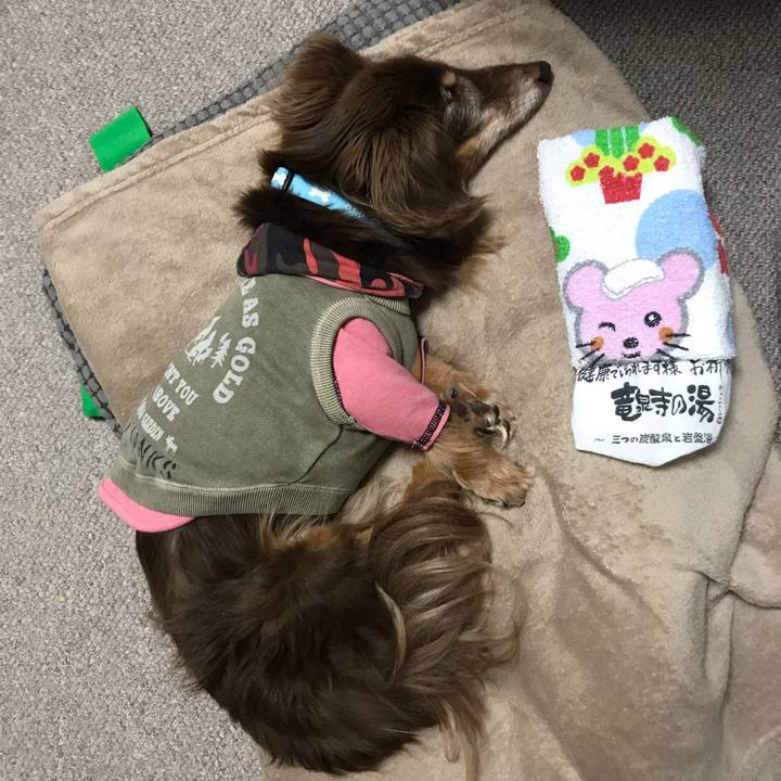 F97f5f6a 6609 41c0 ad15 bc31c8a4a548 1589189515532