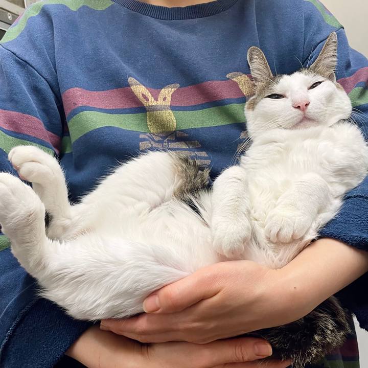 F97f9008 53c5 4e25 b1a3 f58c78763b79 1745998764499