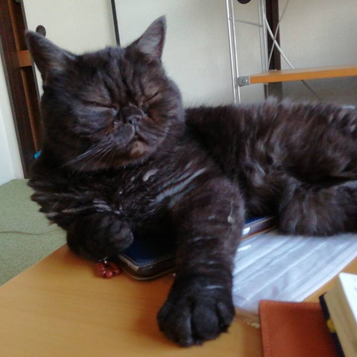 F97f92e9 1097 4f77 9f0f 69a7f6bc9c76 1627029548370