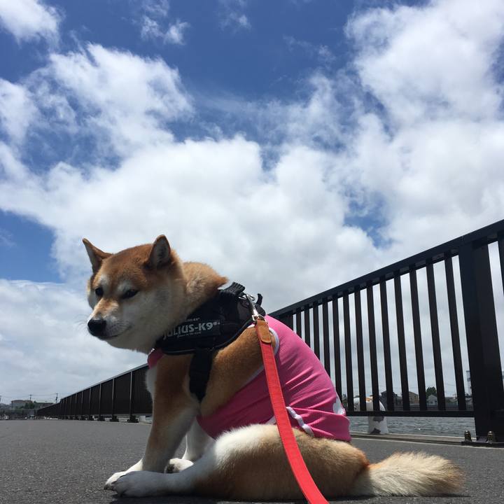 F97fb3b1 6cfe 47f8 b14e 02769322a315 1591848333862