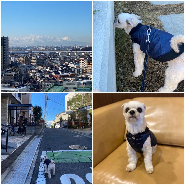 F97fc0cf 6bad 460f a62d 4e78c5042bea 1577440296478