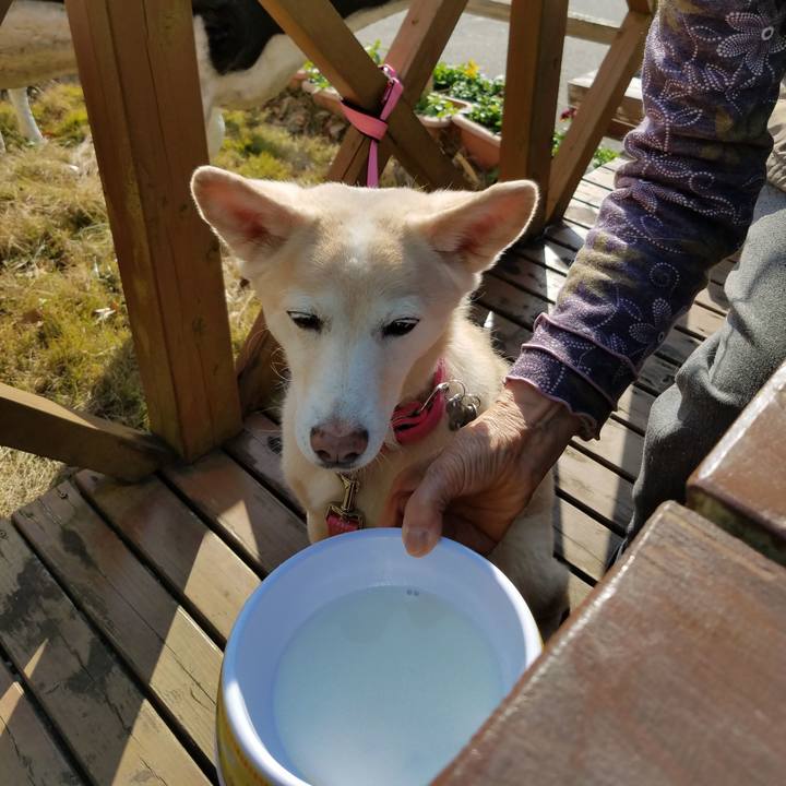 F97fc3eb f994 4885 8069 f9924cbd732a 1550449728601