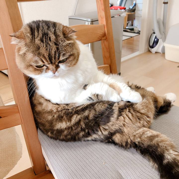 F97fcb13 7074 4fc9 bf36 bc40394e0fca 1556021226481