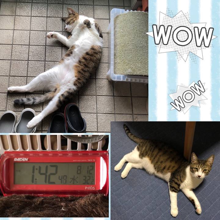 F97fe236 b993 4b8a 951e 613b6edc04b5 1597208468111