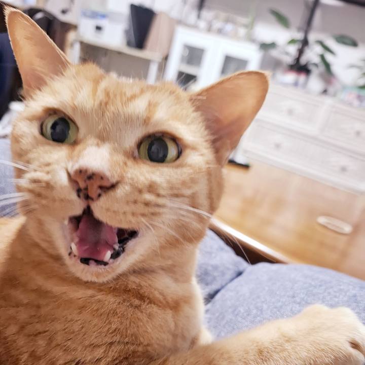 F97fec61 71b4 4294 91d5 bdb86ff99a52 1745067511138