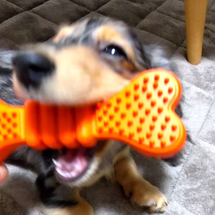 F9802441 d032 49a5 b691 17a289d052a5 1696809026543