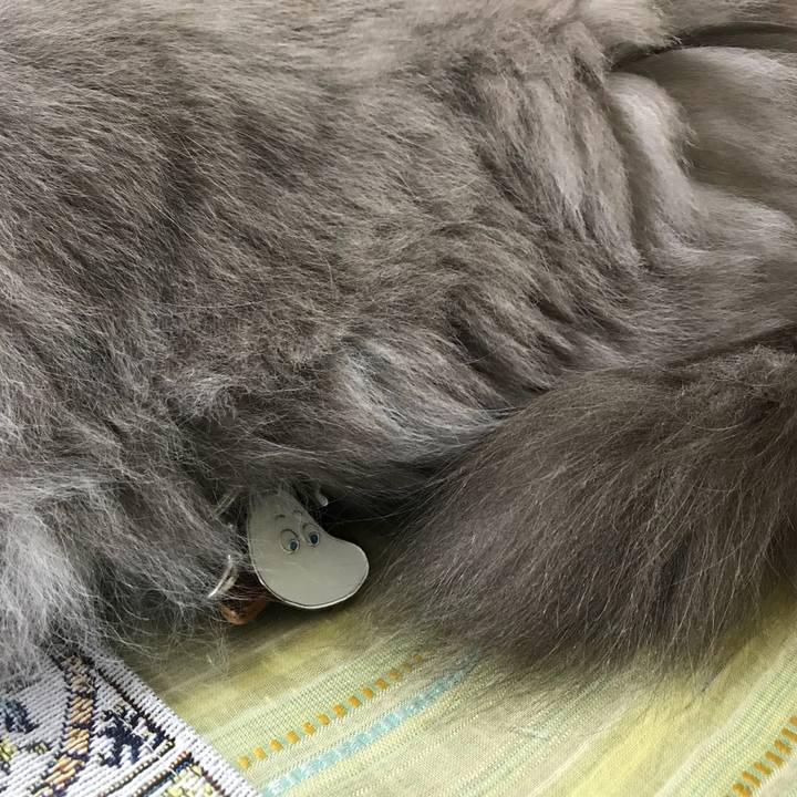 F9805b1c a2a1 409b 8d76 3a34a34e2b79 1510670192725