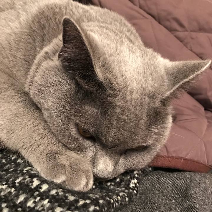 F980642b 18a4 4352 958a fb62cfaeaaa3 1511965364483