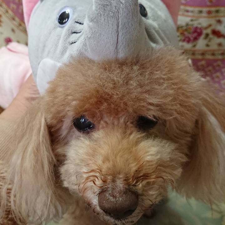 F9808bd5 49f0 4f54 94ff 28f2f5e44c8f 1577857687904