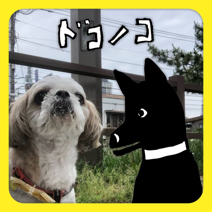 F98091ba b557 4b49 b1e2 3119c1523f21 1623102504726