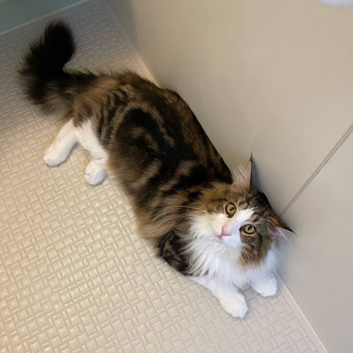 F980bfc7 d730 4ba5 af64 82505b24f278 1643364898935