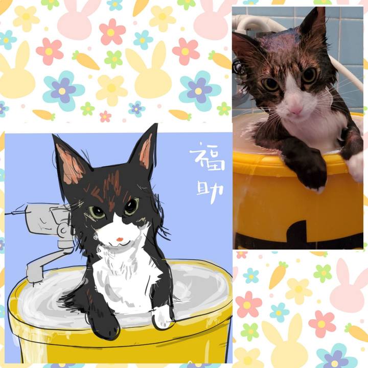 F980c765 5619 4fe6 ad62 b6562f13bb01 1686625415363