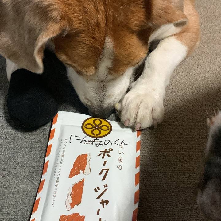 F980c7f2 5526 4532 93f2 6c19e31d4b7e 1771501307751