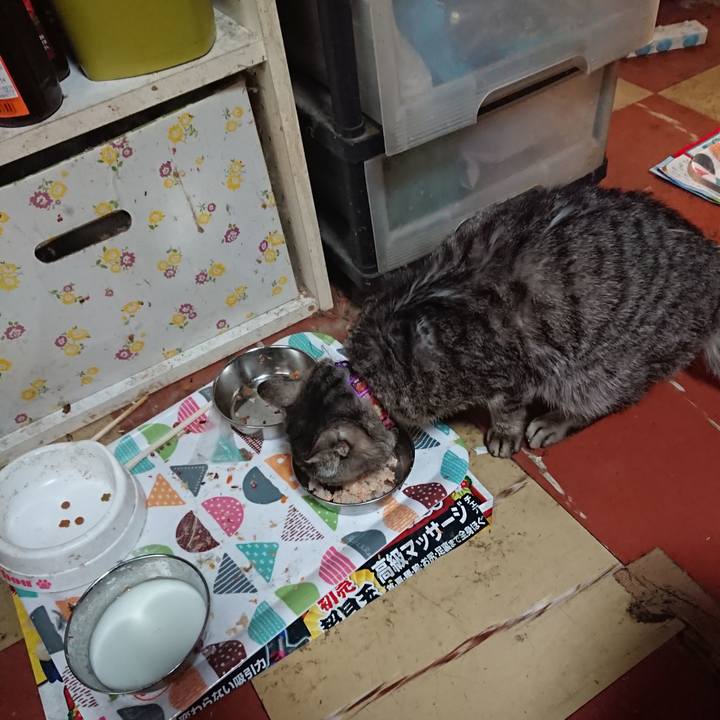 F980e200 9be0 49b4 9679 e3be0deb782e 1588368870931