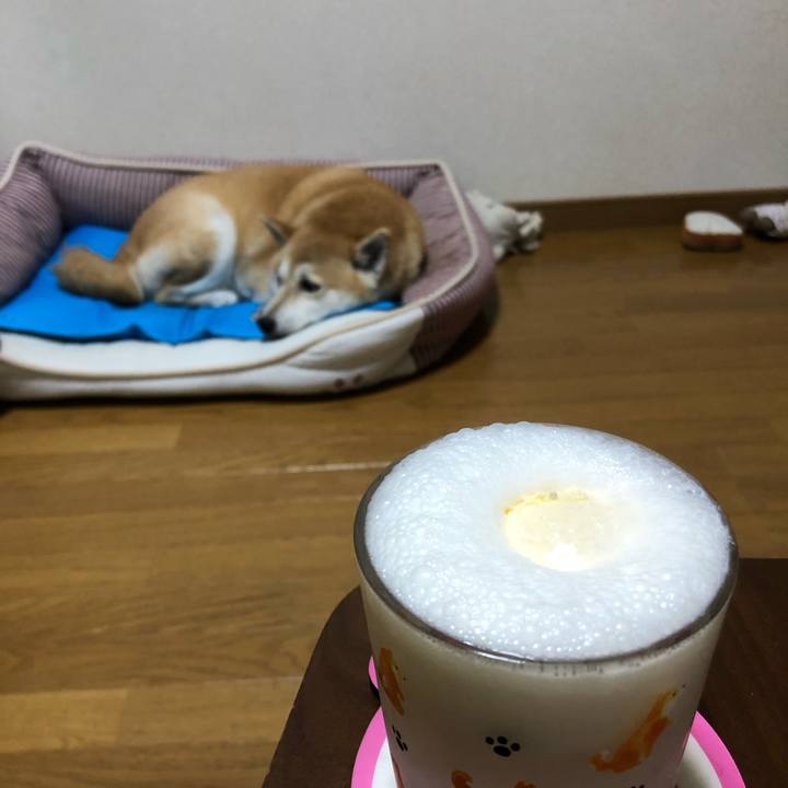 F9811ed6 d894 47eb a070 13ffabcf9488 1593780787755