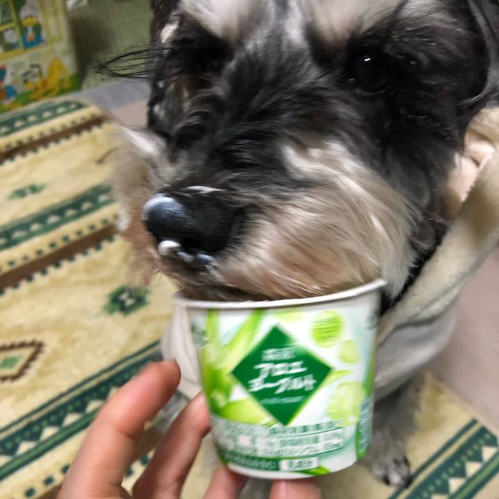 F981386a 2dae 4b2f 9fec d801423c092d 1647260440522