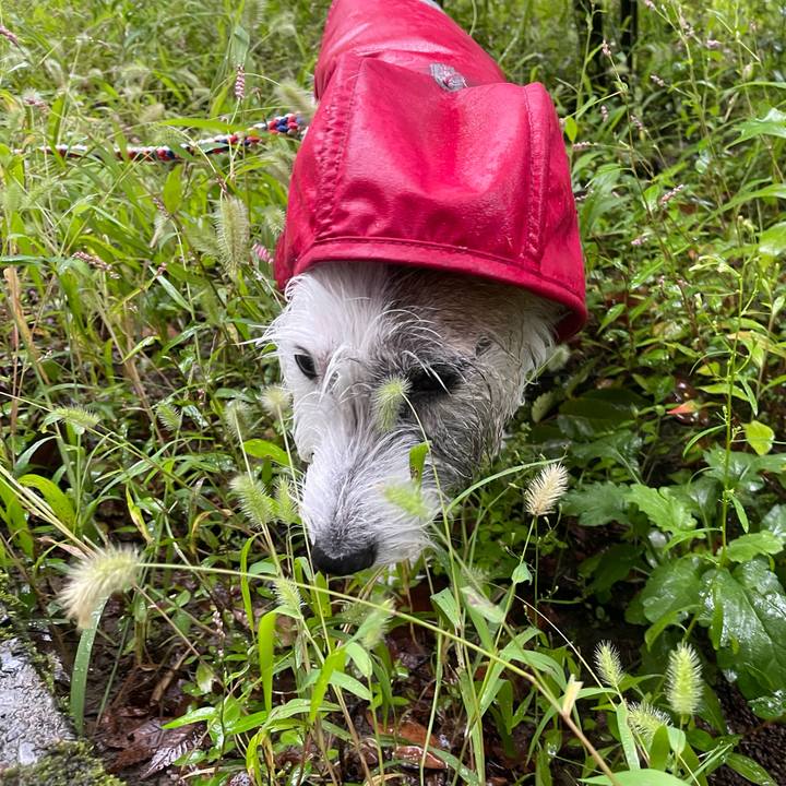 F9814f2a 002d 4939 99b4 983e14cf8f65 1726873544604