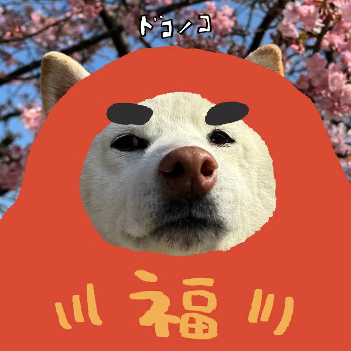 F9815ee1 7e57 4af6 8744 71f0651c17cf 1771885270845