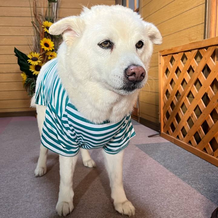 F981c9b0 701e 473b 8bd0 ca81131394dc 1762384790675