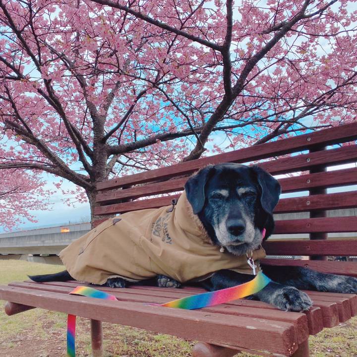 F98211b7 249a 4ab4 a2d0 a8efe7e00942 1708131996670