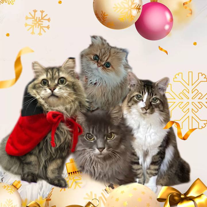 F9821c22 b4d8 48d5 a7b1 d492d24bd06d 1671710668762