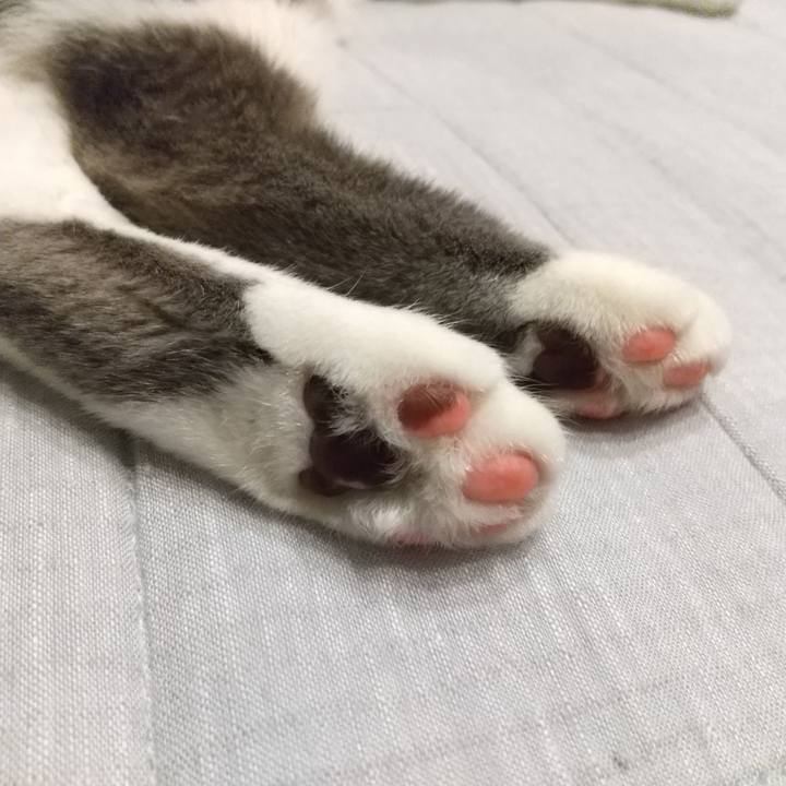 F9823b8b d689 4062 8629 c05e35be5c08 1617192514310