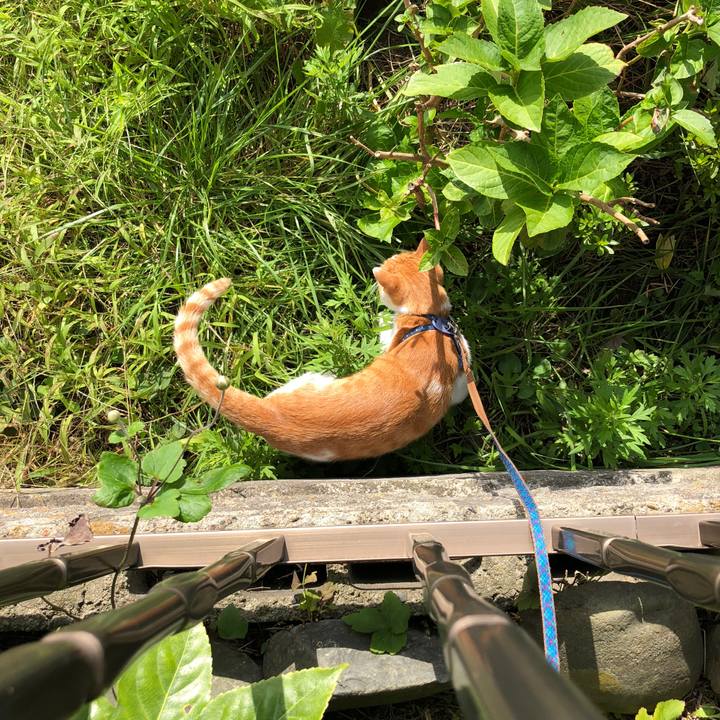 F9824e15 5bac 4eb3 95f0 8638e8655483 1538630427873