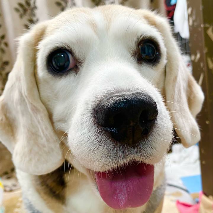 F98263b8 a426 4d4b 841b f18ff4077051 1647834724304