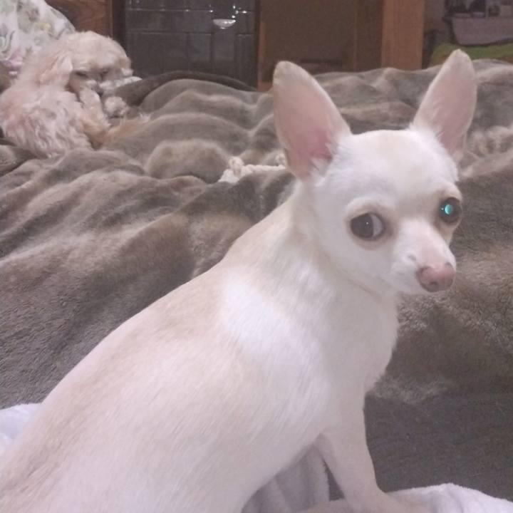 F9826b6f 3526 4015 b2bd 7bdafd0299a5 1708426520869