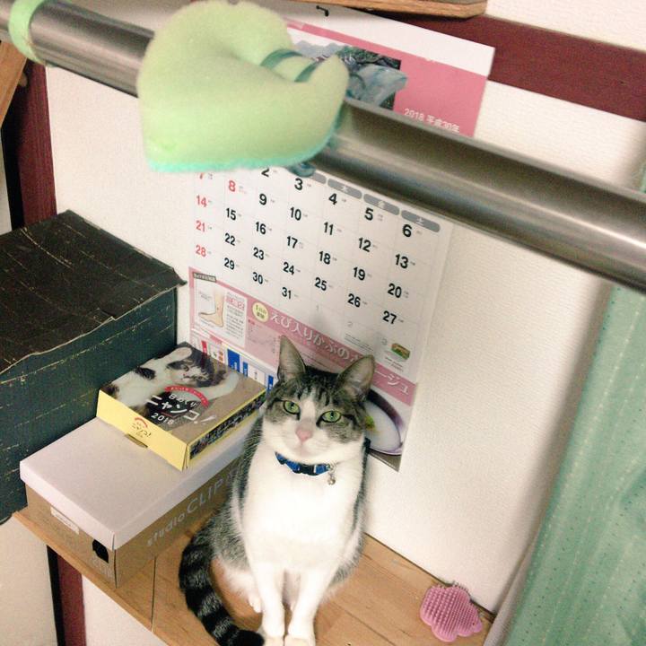 F9826c4f f27e 4d87 b610 a33a26374ce9 1516800204123