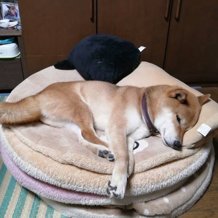 F982885a fd49 43a3 a0e2 a17a28c902c3 1590926179976