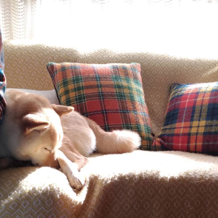 F982b9d5 4d7e 4a85 868a faaf59e8eb0d 1547953529959