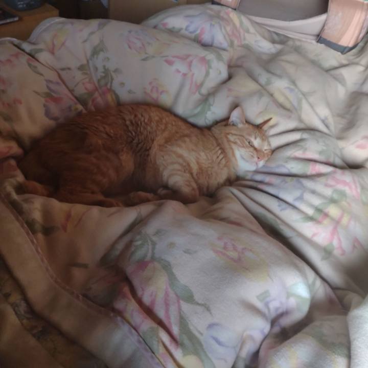 F982ece3 3042 41aa b846 4dfdde7a08f5 1683927891694