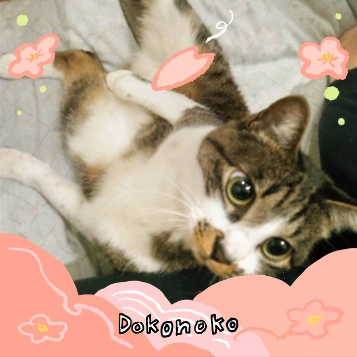 F98305a0 6731 4cb2 9b33 4e18cc57d89a 1775752729450