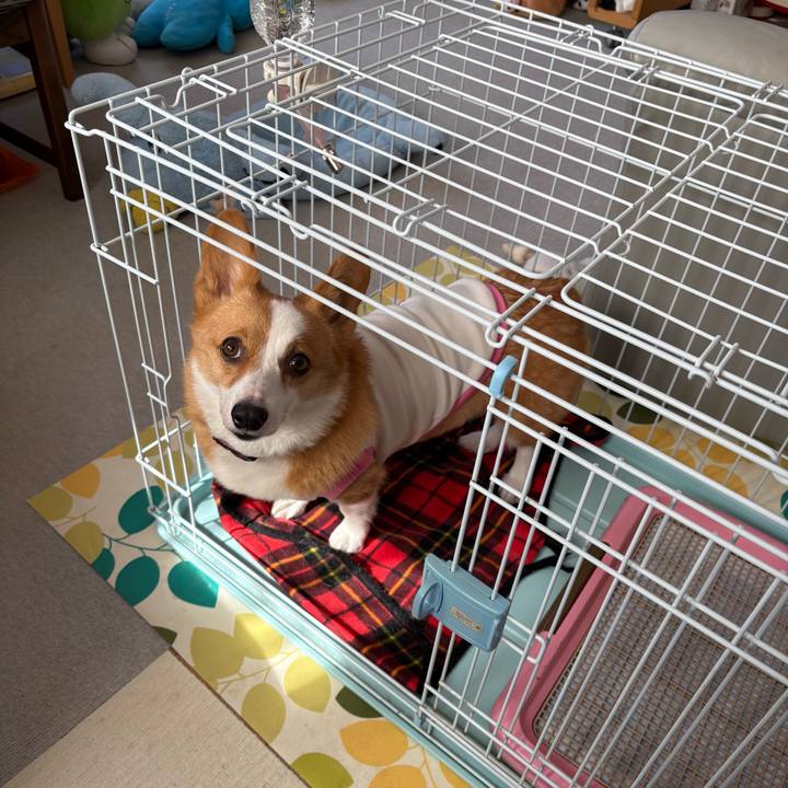 F983171d 1bd9 4a51 8605 e55d3fbe7c25 1772251534254