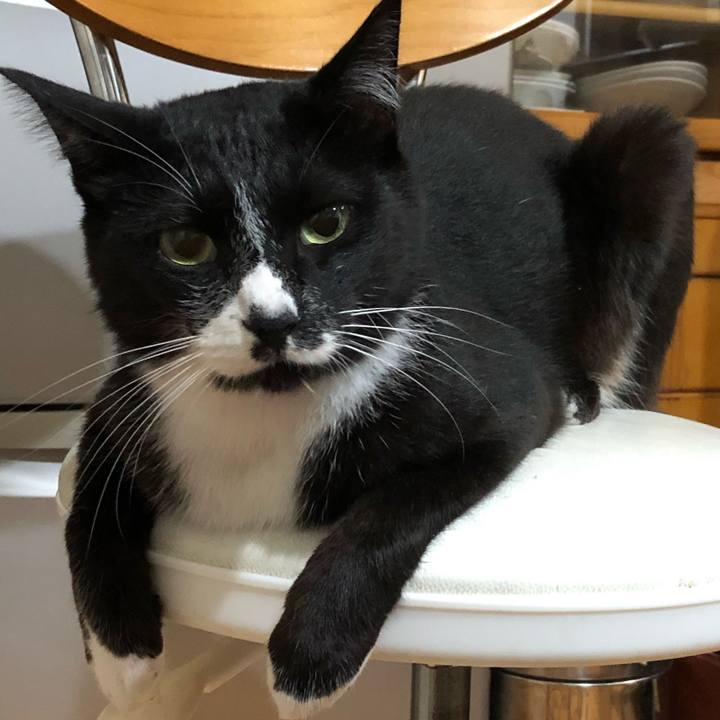 F9832aa8 194b 4701 869c 6fc11ff0d272 1567831140167