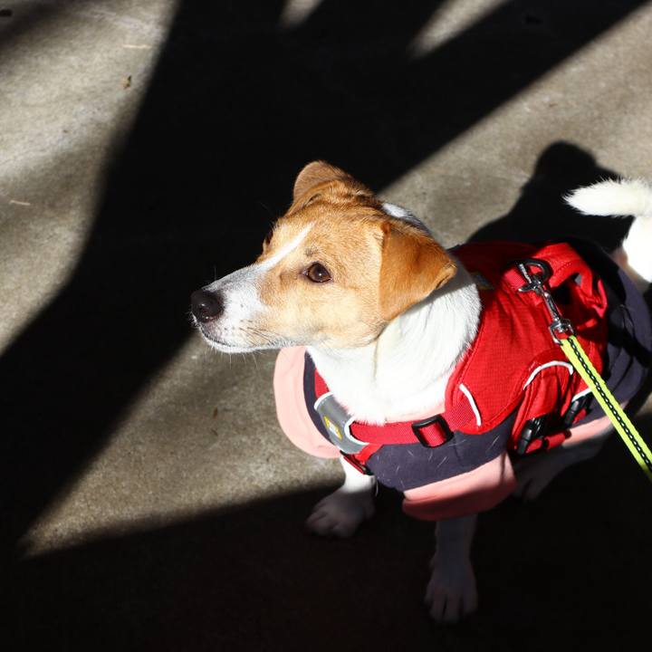 F98366c5 2822 42b5 9563 53aed40fee30 1545633593292